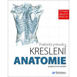 Anatomie - Praktický průvodce kreslení