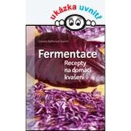 Bellersen Quirini Cosima: Fermentace - Recepty na domácí kvašení