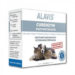 Alavis Enzymoterapie 80cps