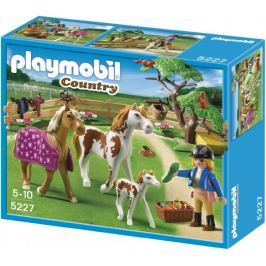 Playmobil 5227 Koňský trénink