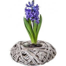 Planta Obal z robustního proutí nízký 25 cm