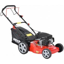 Hecht 546 SX