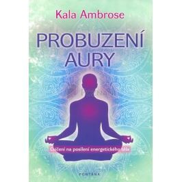Ambrose Kala: Probuzení Aury - Cvičení na posílení energetického těla