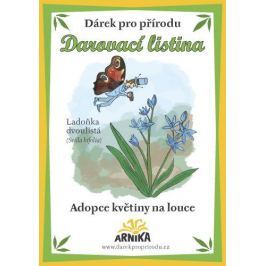 Arnika Darovací listina - Adopce květiny na louce - Ladoňka dvoulistá
