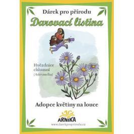 Arnika Darovací listina - Adopce květiny na louce - Hvězdnice chlumní
